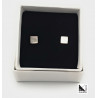 Silver and mother-of-pearl square earrings