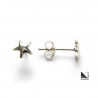 Silver earrings  - Star